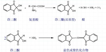 茚三酮的應(yīng)用領(lǐng)域