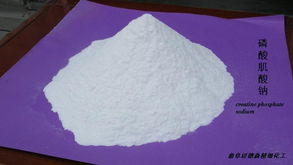 山東曲阜邁德森供應(yīng)優(yōu)質(zhì)廉價(jià)磷酸肌酸鈉 供應(yīng)信息 藥用原輔料網(wǎng) 制藥原料,制藥輔料,藥用輔料,原料藥,制藥中間體,植物提取物,動(dòng)物提取物,制藥設(shè)備,制藥包裝,制藥產(chǎn)品信息查詢(xún),薄膜包衣,聚丙烯酸樹(shù)脂,藥用氧化鐵,藥用乳糖,羥丙基甲基纖維素,原料藥供應(yīng)