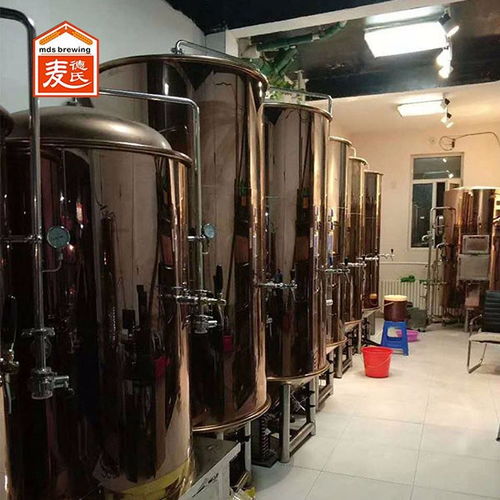 延邊鮮釀啤酒設備100l啤酒設備廠家 麥德氏
